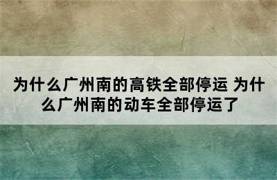 为什么广州南的高铁全部停运 为什么广州南的动车全部停运了